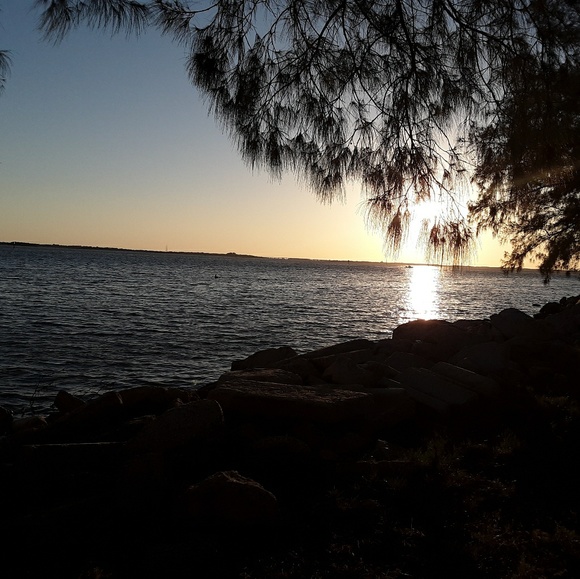 Meet your Posher, Rose - Picture 2 of 12